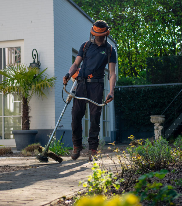 A Sandoval Tree Service- Residential & Commercial Tree Services
