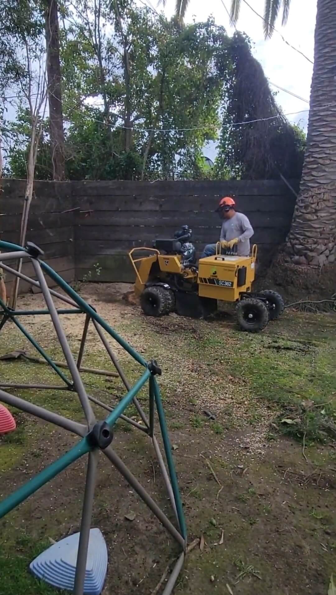 Tree Removal Stump Grinding